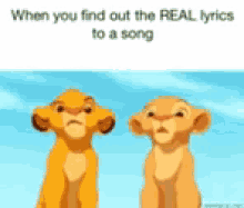 simba nala confused lion king when you find the real lyrics to a song