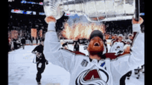 Stanley Cup GIF - Stanley Cup Avalanche GIFs