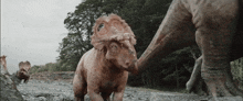 a group of dinosaurs are walking down a dirt road .
