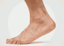 Melenchon Cheville GIF - Melenchon Cheville Ankle GIFs
