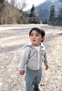 a toddler wearing a grey hoodie and blue pants stands on a dirt road