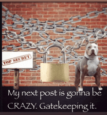 a dog standing in front of a brick wall with chains and a sign that says top secret