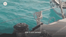 She Even Swims Cat GIF - She Even Swims Cat Meow GIFs