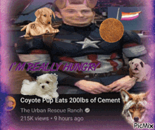 a man in a captain america costume is surrounded by puppies