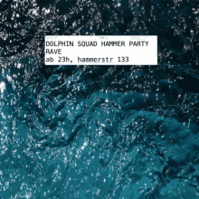 Hammer Dolphin Squad GIF - Hammer Dolphin Squad Basel GIFs