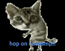 Hop On Naansmp GIF - Hop On Naansmp Borky GIFs