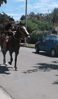 Horse Riding A Horse GIF