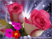 Pink Flowers GIF - Pink Flowers Red GIFs