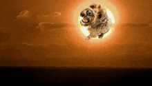a dog is jumping in the air with a sunset in the background