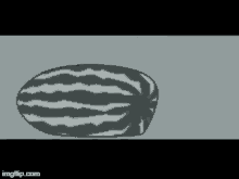 a black and white drawing of a watermelon with a brush .