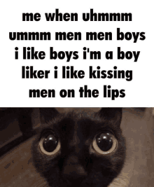 I Like Kissing Men On The Lips Men Men Boys GIF - I Like Kissing Men On The Lips Men Men Boys Im A Boy Liker GIFs