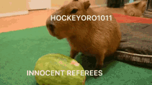 Hockeyoro1011 Pulh GIF - Hockeyoro1011 Hockeyoro Pulh GIFs