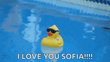 a yellow rubber duck with sunglasses is floating in a pool .