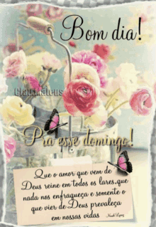 bom d ia good morning flowers butterfly quotes