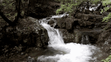 Waterfall Running Water GIF - Waterfall Running Water Forest Waterfall GIFs