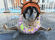 a seal wearing a hawaiian lei and a headband