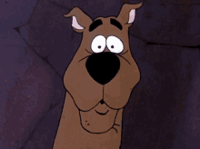 Ruh Roh Scooby GIF - Ruh Roh Scooby Doo GIFs