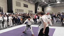 Taekwondo Taekwondo Kick GIF - Taekwondo Taekwondo Kick Head Kick GIFs