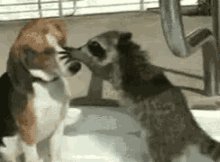 Dentist Wash Your Mouth Out GIF - Dentist Wash Your Mouth Out Kiss GIFs