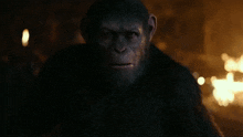 Planet Of The Apes Caesar GIF - Planet Of The Apes Caesar Mad GIFs