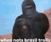When Nats Brazil Trolls Gorilla GIF - When Nats Brazil Trolls Trolls Gorilla GIFs