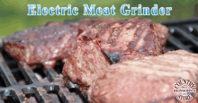 Electric Meat Grinder Models Of Meat Grinder GIF