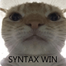 Syntax Win GIF - Syntax Win GIFs