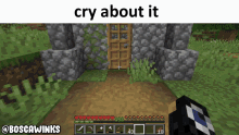 Cry About It Minecraft GIF - Cry About It Minecraft Crying GIFs