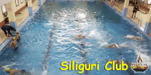 Swimming Siliguri Club GIF - Swimming Siliguri Club Siliguri GIFs