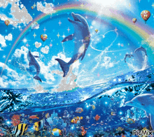 Dolphins Rainbows GIF - Dolphins Rainbows Sparkles GIFs