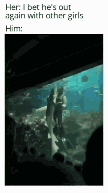 Shark Dance GIF - Shark Dance I Bet Hes Out Again With Other Girls GIFs