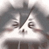 a blurred image of a cat 's face with the letters e on it 's eyes