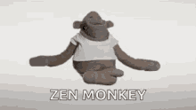 Zen Zen Monkey GIF
