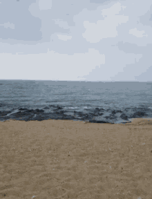 Beach Ocean GIF