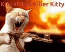 Kit Kat The Killer Kitty GIF - Kit Kat The Killer Kitty Gun GIFs