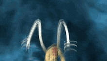 an aerial view of a person in a swirl in the ocean .