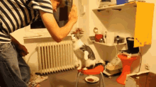 Catty Cat GIF - Cat Highfive Trick GIFs