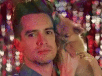 Brendon Urie Panic At The Disco GIF - Brendon Urie Panic At The Disco Puppy GIFs