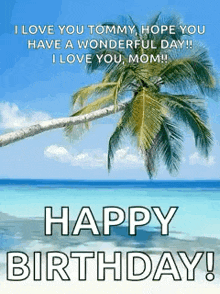 a birthday card with a palm tree and the words `` i love you tommy , hope you have a wonderful day ! ''