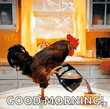 Morning Coffee GIF - Morning Coffee Rooster GIFs