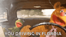Drive Happy But Carefree Kermit GIF