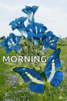 Good Morning Butterflies GIF - Good Morning Butterflies Sparkles GIFs
