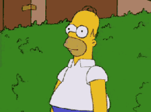 Simpsons Homer GIF - Simpsons Homer Fire GIFs