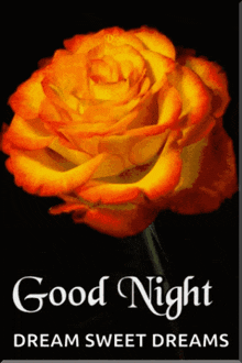 Good Night Sweet Dreams GIF - Good Night Sweet Dreams Goodnight Images GIFs