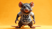 a mouse wearing a shirt that says no cto on it