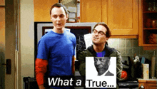 True Sheldon GIF - True Sheldon Sheldon True GIFs
