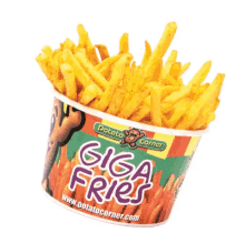 fries snack