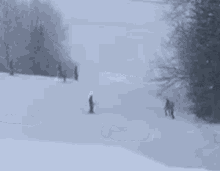 Nikolai Sledding GIF - Nikolai Sledding Snow GIFs
