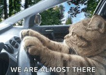 a cat is driving a car with the words " we are almost there " above it