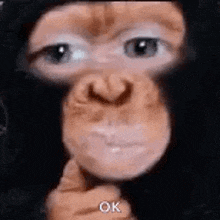 a close up of a monkey 's face with a finger in its mouth and the words `` ok '' written on it .